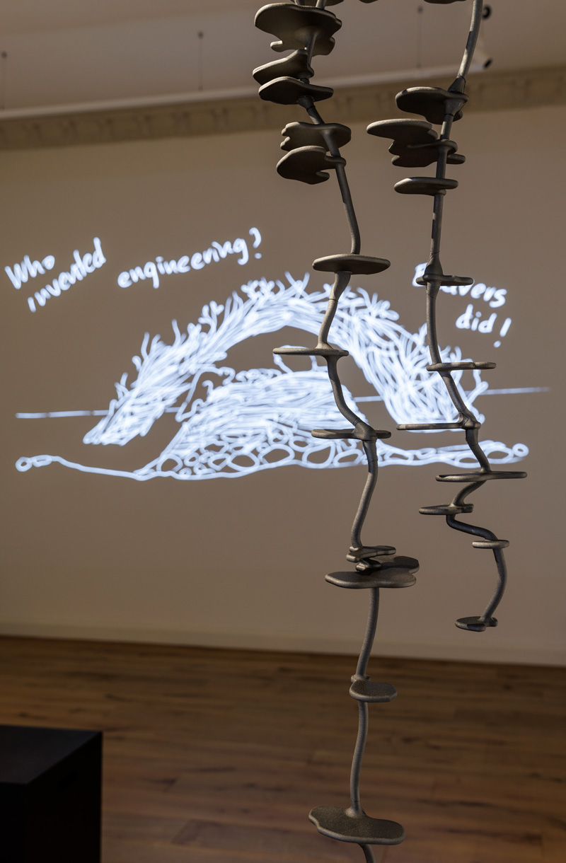 Animal-Architecture-Collective-Hidden-Realities-8