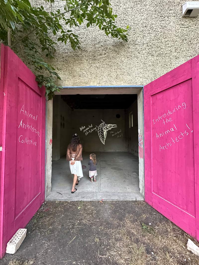 Animal-Architecture-Collective-Pop-up